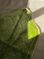 Sejada verde pistacho